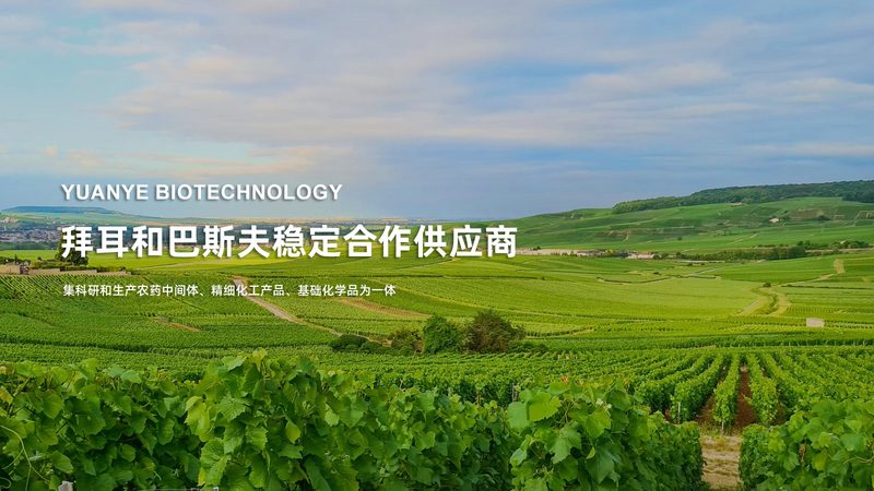 CDMO质量标准：解码医药研发背后的严苛要求