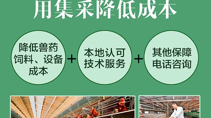 CDMO质量标准制定：从源头确保生物药品质