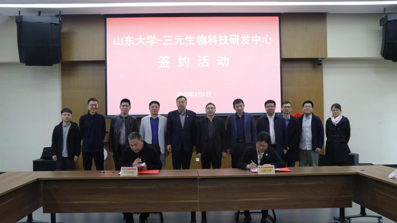 CDMO技术平台建设：揭秘构建高效药物研发的秘诀
