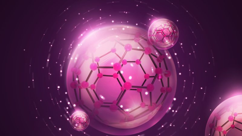 组织培养无菌操作：规范背后的科学**