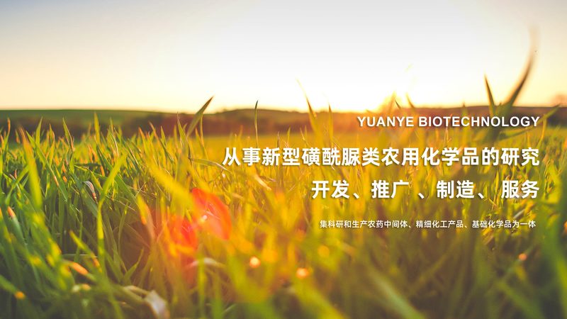 试剂与耗材：实验室的“灵魂