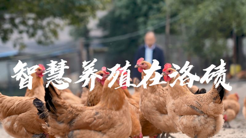离心管灭菌，这些方法你了解吗？**