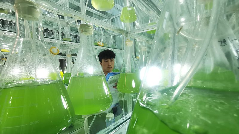 诊断用生物试剂：如何选择优质厂家**