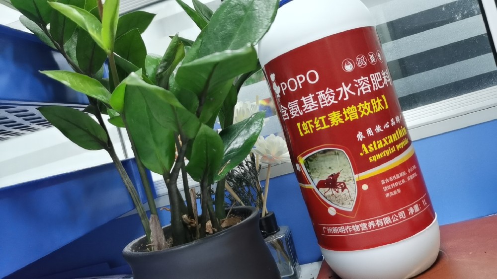 微信图片_20231129154104.jpg